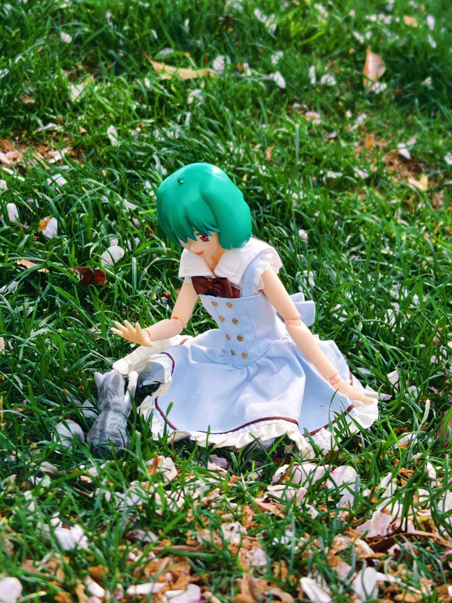 #マクロスF #ランカ・リー  #azone 
🐱