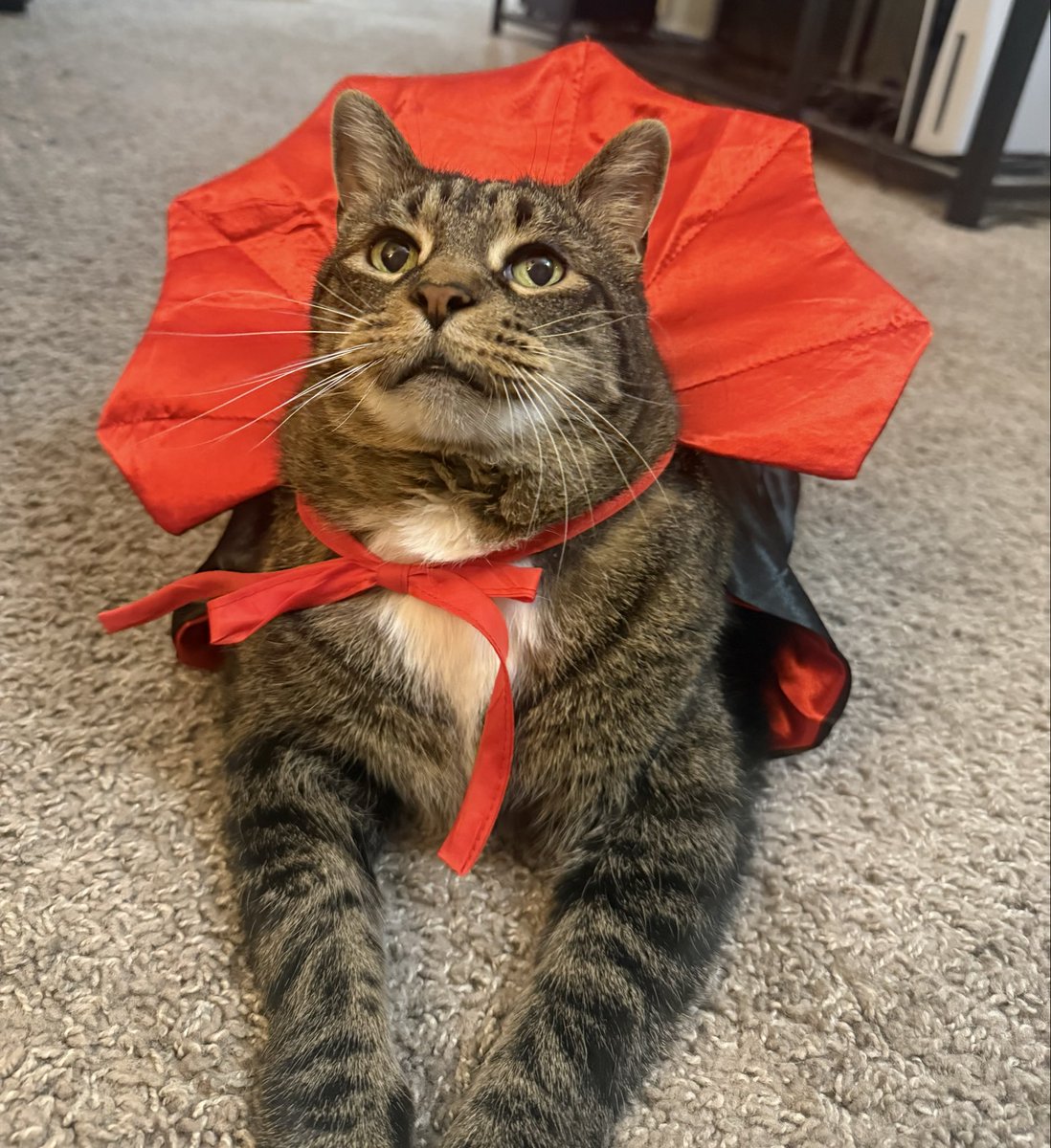 Tell him he’s a good boy