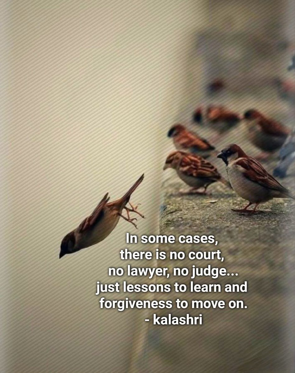 kalashribarve's tweet image. In some cases, there is
no #court, no #lawyer, no #judge... just #lessons to #learn and forgiveness to move on.
- kalashri
#quotes #quotesaboutlife #quoteoftheday #quotestoliveby #quotesdaily #quotesandsayings #quote #quotestags #quotestagram #quotesaboutlife❤️ #motivation #For