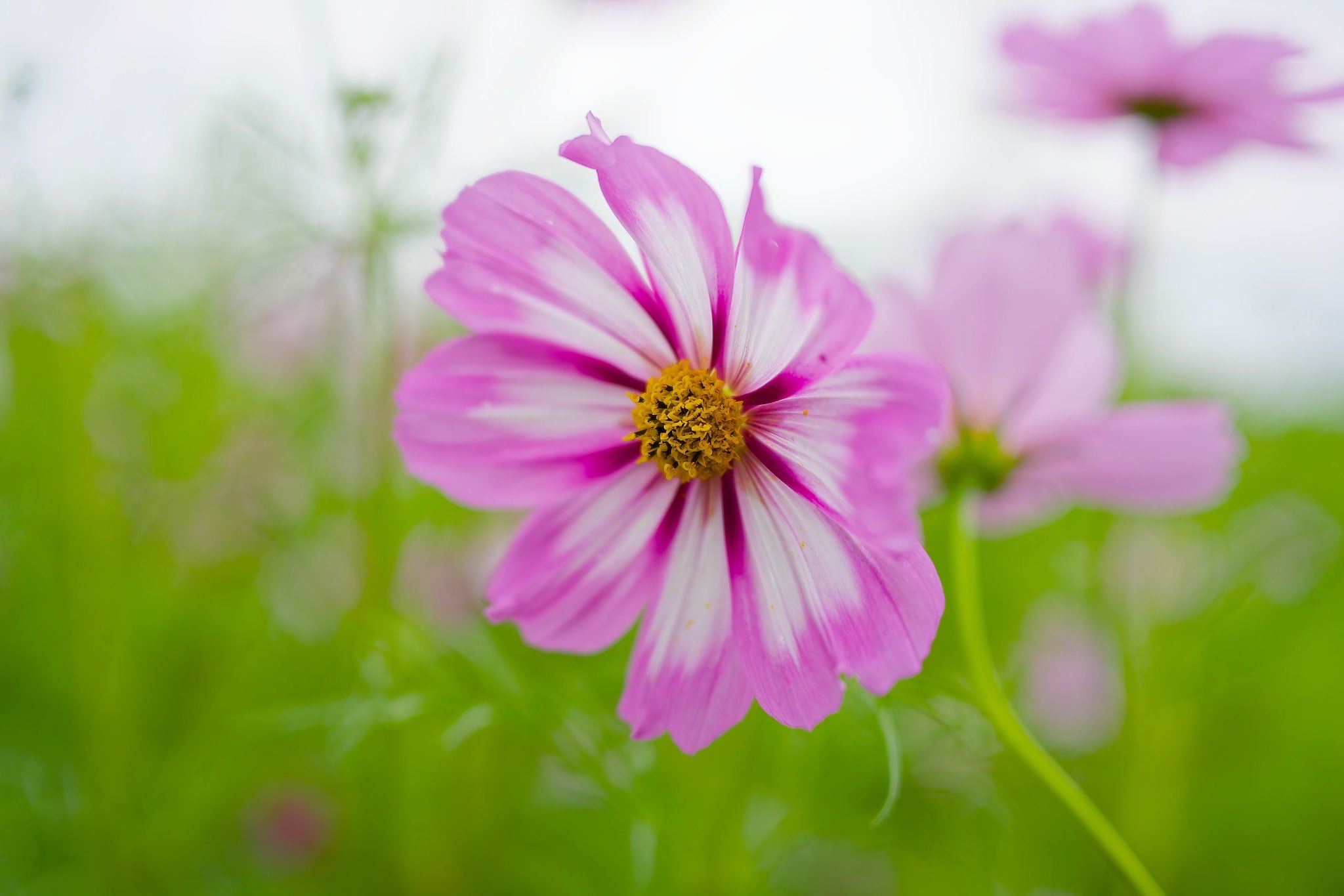 日本の晩秋・厳選風景16年【 風景写真 11-12月号　2007〜22年】16冊 日本の晩秋・厳選風景16年【 風景写真 11-12月号 2007〜22