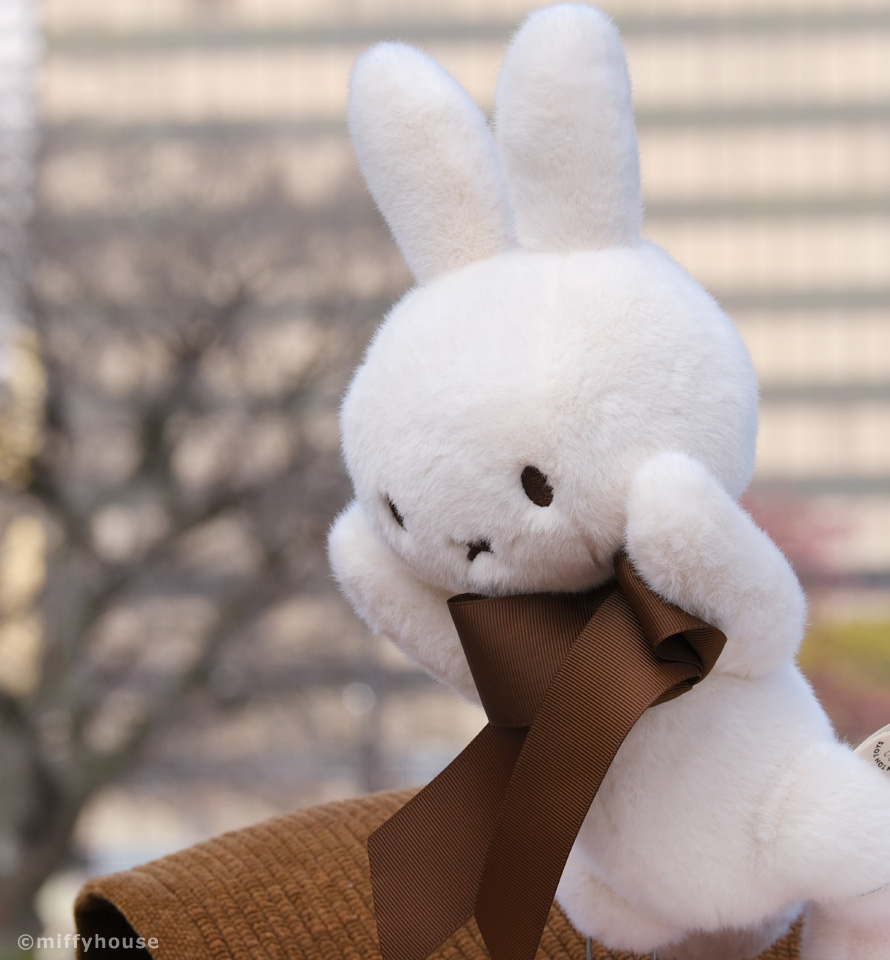 翔んでミッフィー
 miffyhouse.co.jp/shopbrand/ct16/