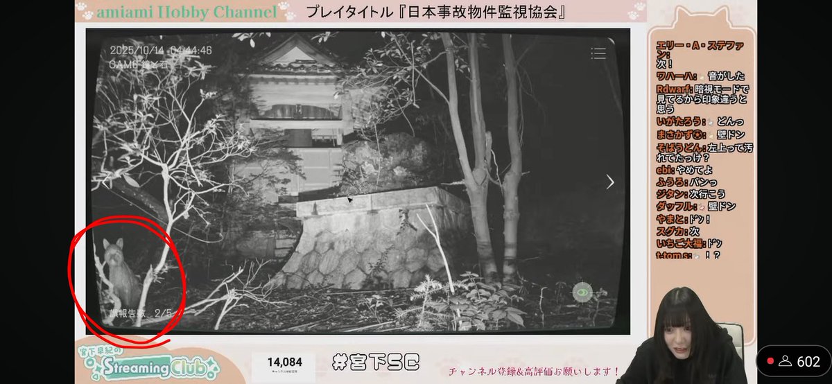 やぎちゃんページ やぎちゃん on X