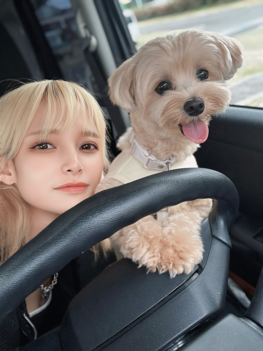 KIKKI / キッキ (@KIKKI_dst3) / Posts / X