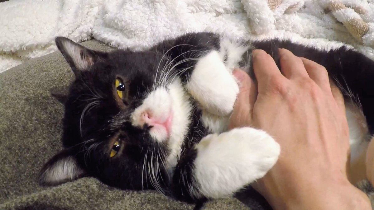 10月14日はもんたをお迎えした日、 『もんたの日』です。 写真は今日