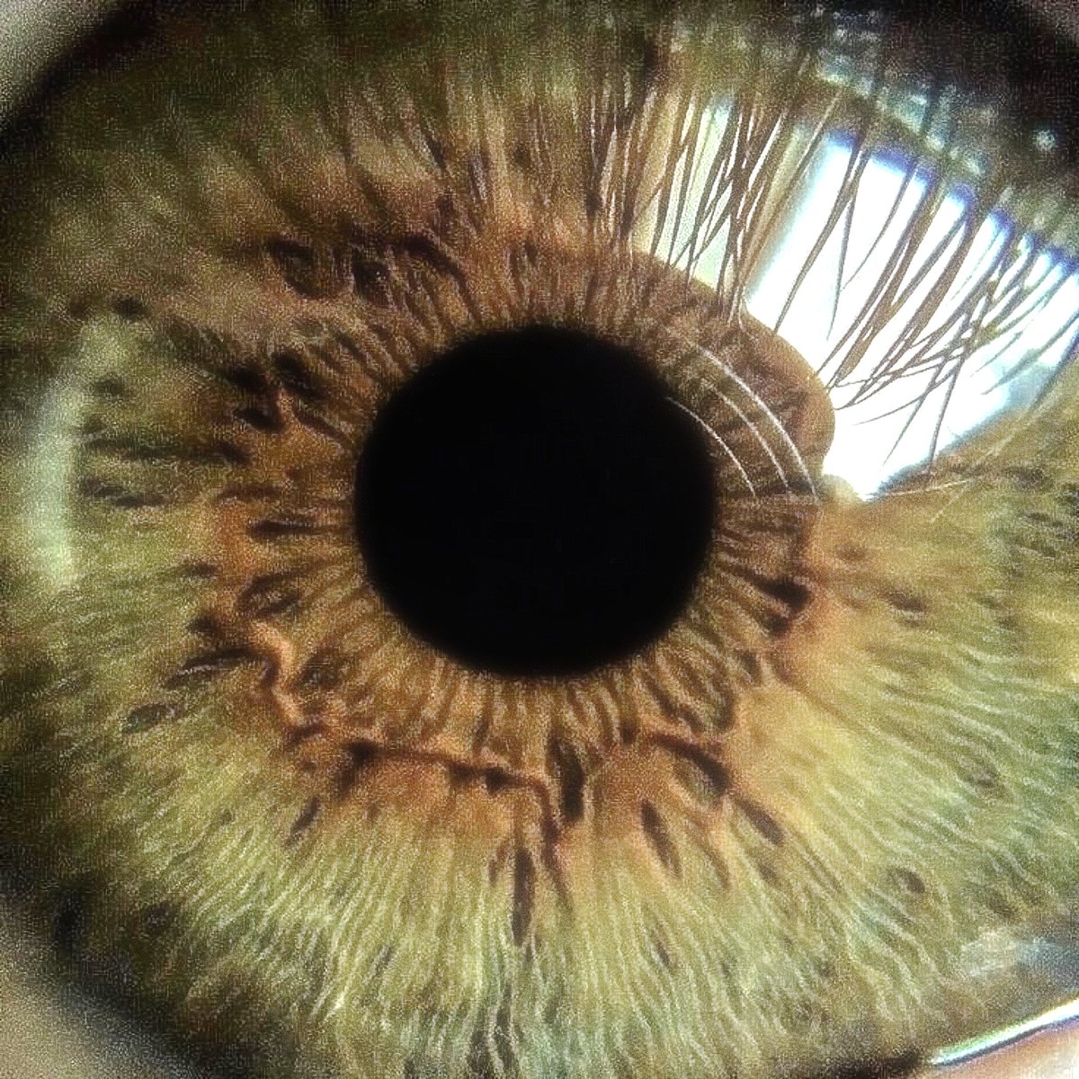 marcelo ͏ ๋࣭ ⭑ tweet media