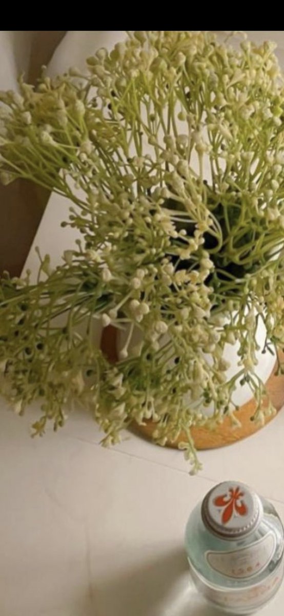 التقيك في زمن النقاء وقد تبدل الزمن فلم اعد اعرفه ولا اعرفك.