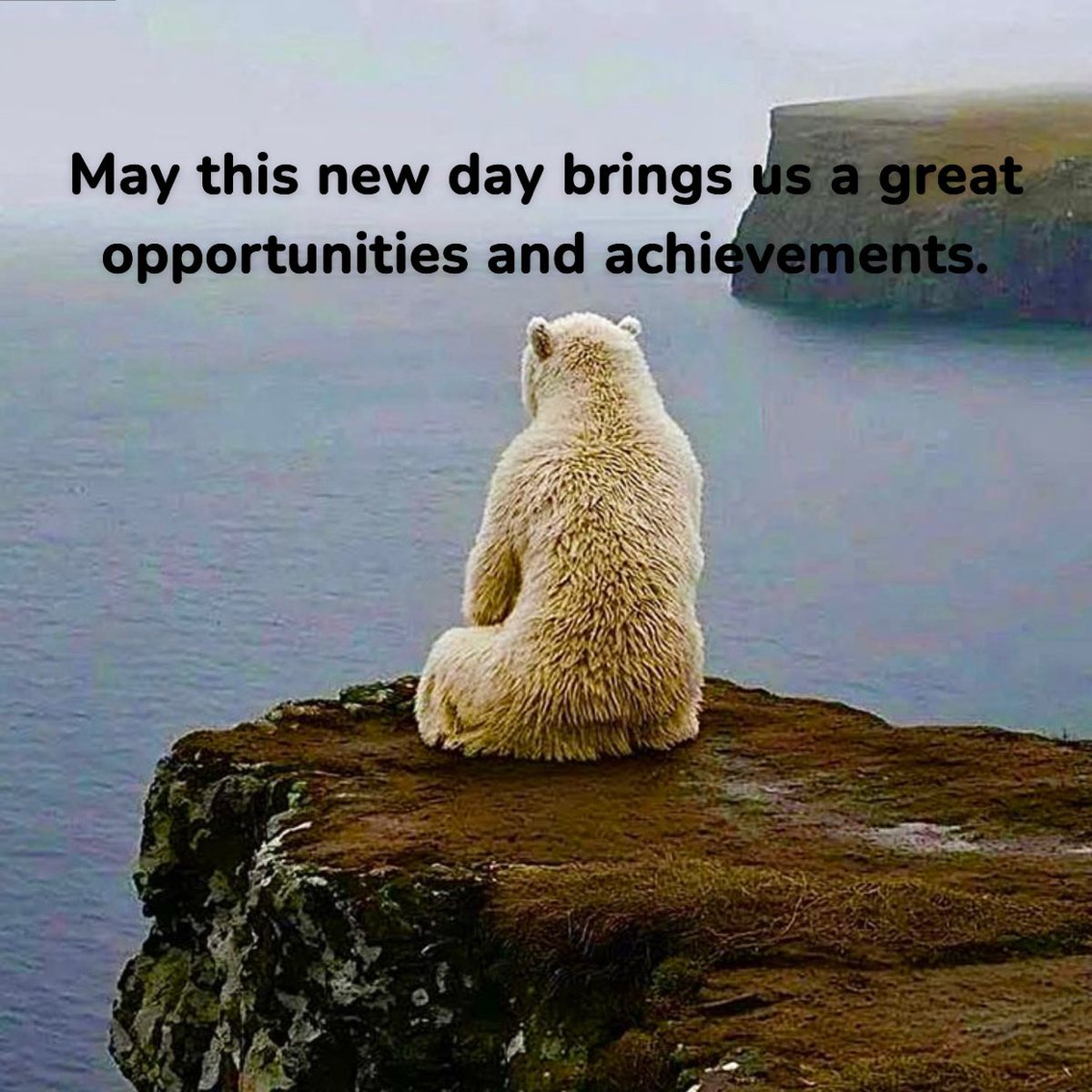 jeremiah6991's tweet image. Good morning fam