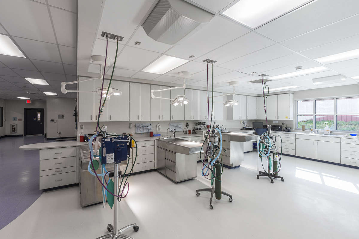 findfq's tweet image. ⚗️ Modular labs allow research setups to be deployed in extreme locations—from Antarctic bases to Mars simulations. Portable science, limitless ideas. 🧊🏜️ #FieldScience #ModularTech