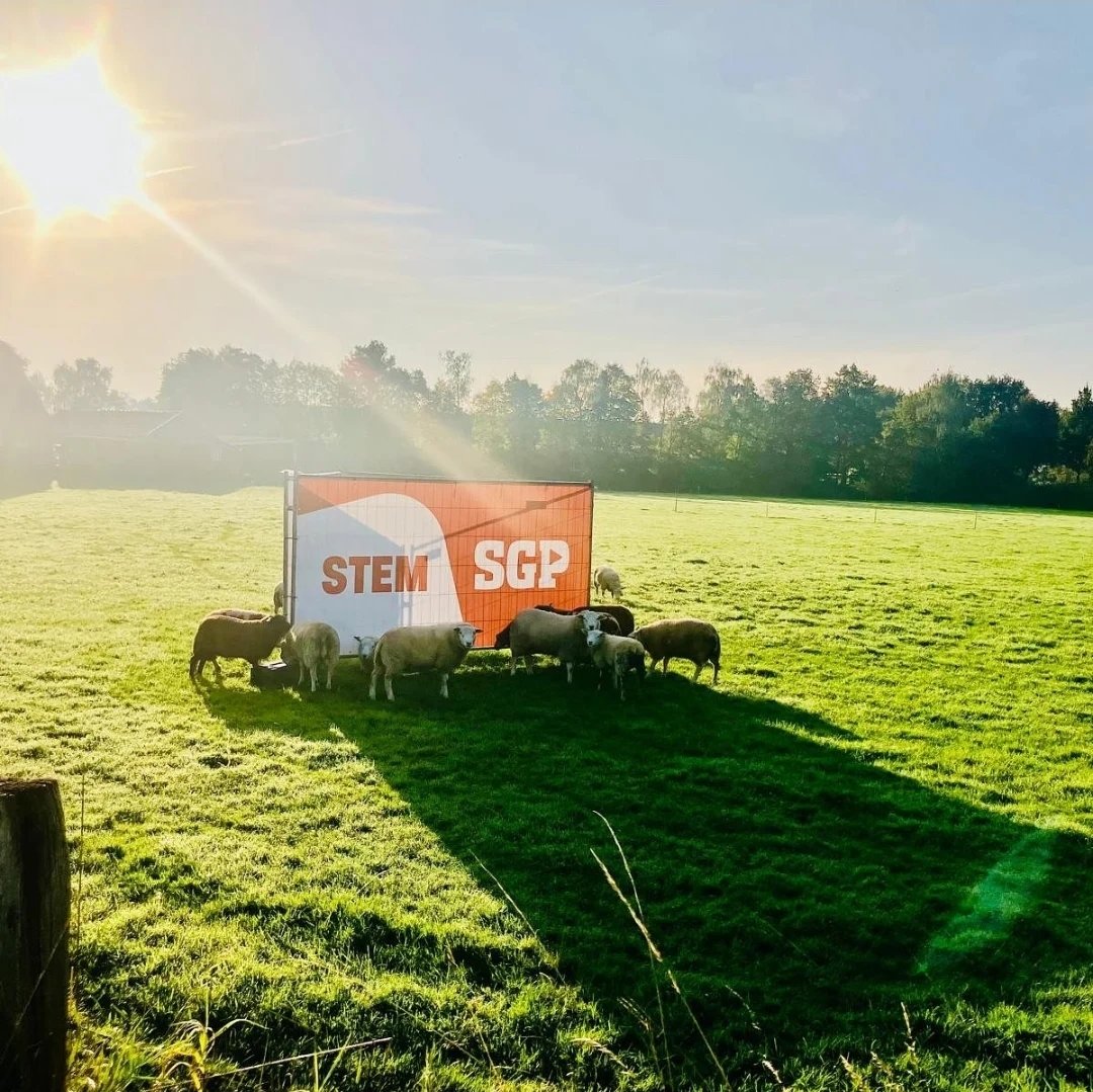 Als er één schaap over de dam is.......