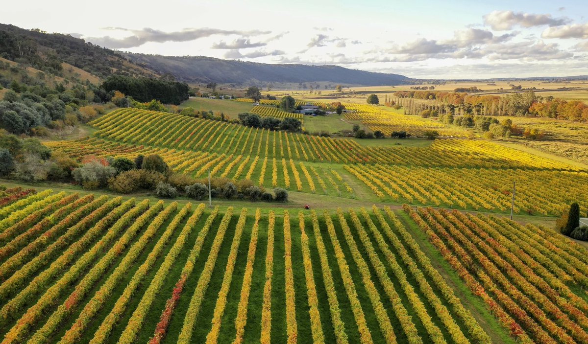 VisitCanberra tweet media