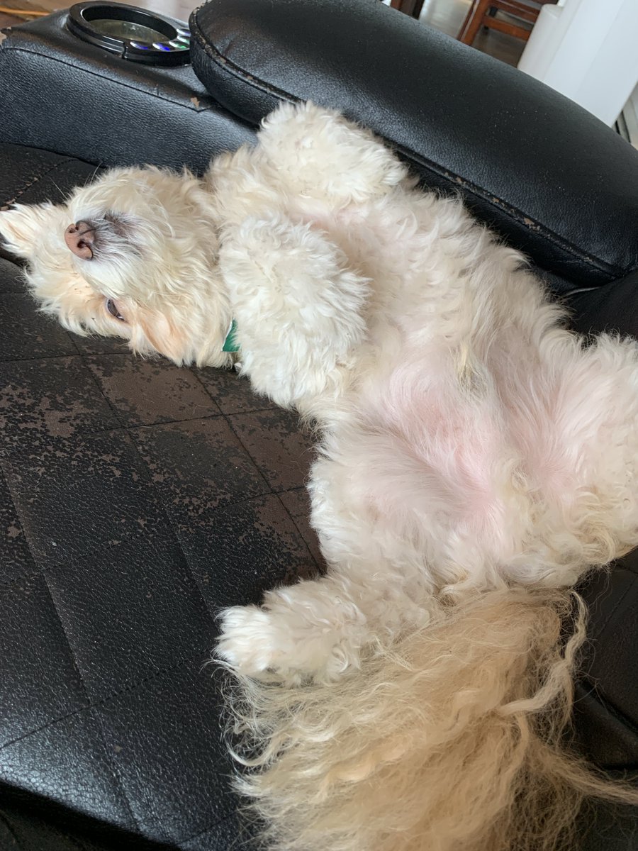 Vapeerr's tweet image. 