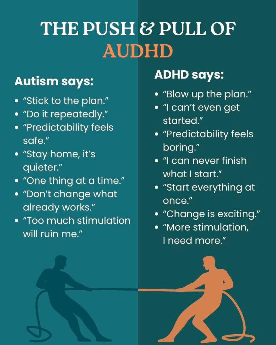 NoNonsenseND's tweet image. 