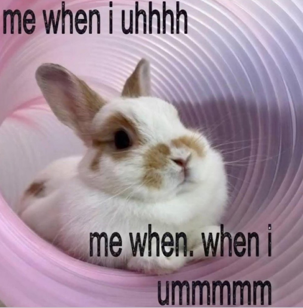 Respectful Memes (@respectfulmemes) on Twitter photo 