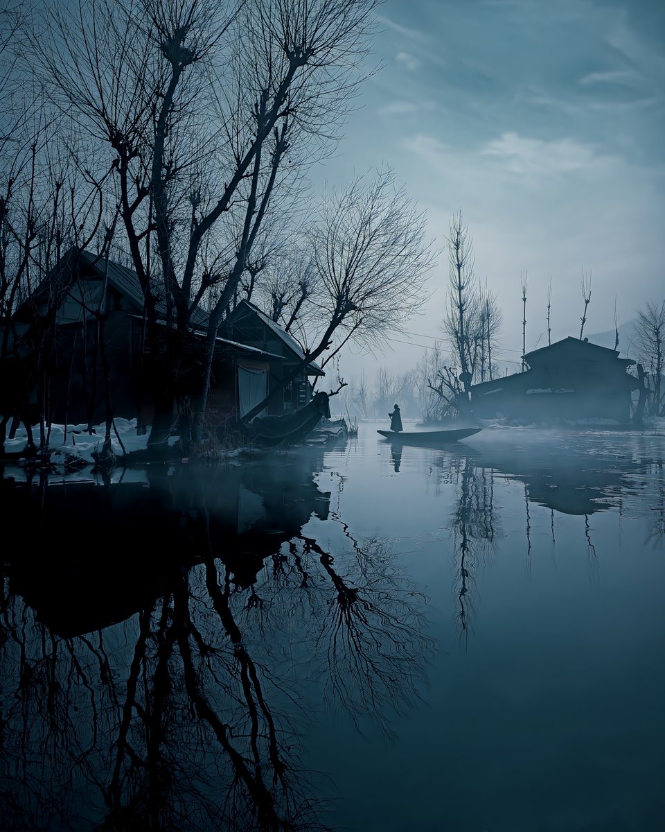 I Took this photo in Dal Lake, Kashmir.