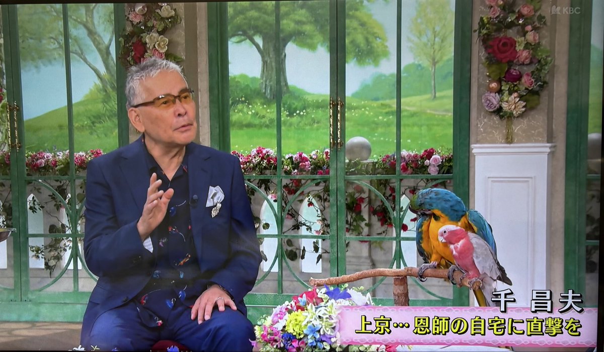 pipichica's tweet image. 「徹子の部屋」に千昌夫さん。
今回もまた鳥たちと出てる❣️
インコ柄のシャツもおしゃれ〜🦜