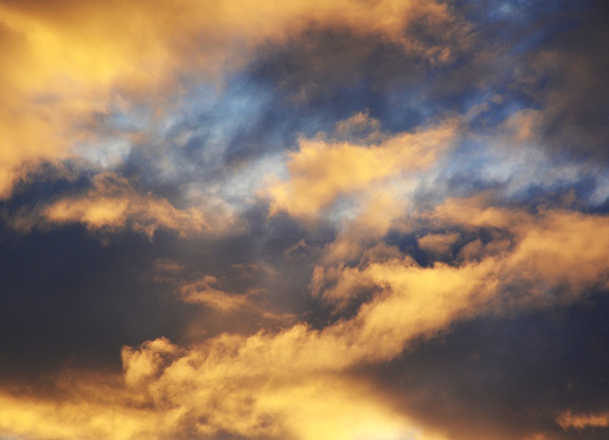 explorewithrene's tweet image. Consider how precious a soul must be, when both God and the devil are after it. – Charles Spurgeon

Read more in my latest pondering:
 explorewithrene.com/consider-the-s…