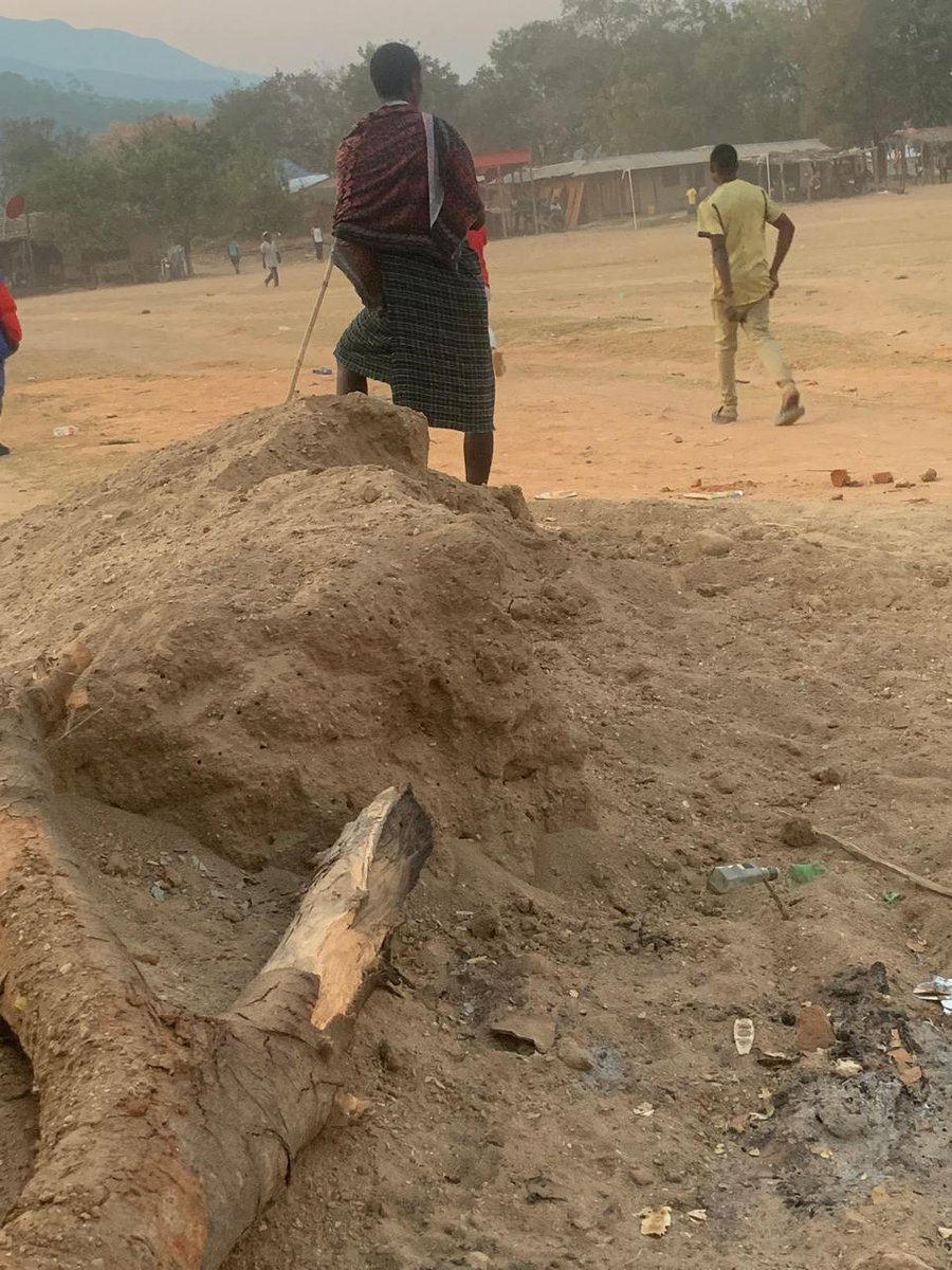 Os Maasai da Tanzânia são um grupo étnico nilótico seminômade conhecido pelo seu modo de vida pastoril e pela sua forte ligação com o gado. Eles vivem principalmente nas planícies do norte da Tanzânia. Este eu vi em Lupileche, no Niassa