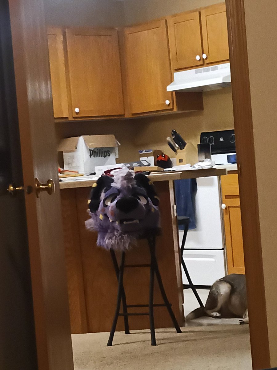 What in the fuck could he possibly be GAWKING at???