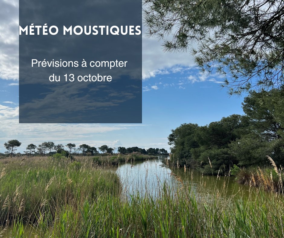 🦟Météo #moustiques ruraux
Prévisions à compter du 18 août en <a href="/Occitanie/">Région Occitanie</a>
 par département : eid-med.org/bul-operationn…
Le risque de nuisance, par les moustiques ruraux reste stable. 
📍 <a href="/departement13/">Département des Bouches-du-Rhône</a>
📍 <a href="/Gard/">Conseil départemental du Gard</a>
📍 <a href="/Heraultinfos/">Département de l'Hérault</a>
📍 #Aude
📍 <a href="/leDepartement66/">Département des Pyrénées-Orientales</a>