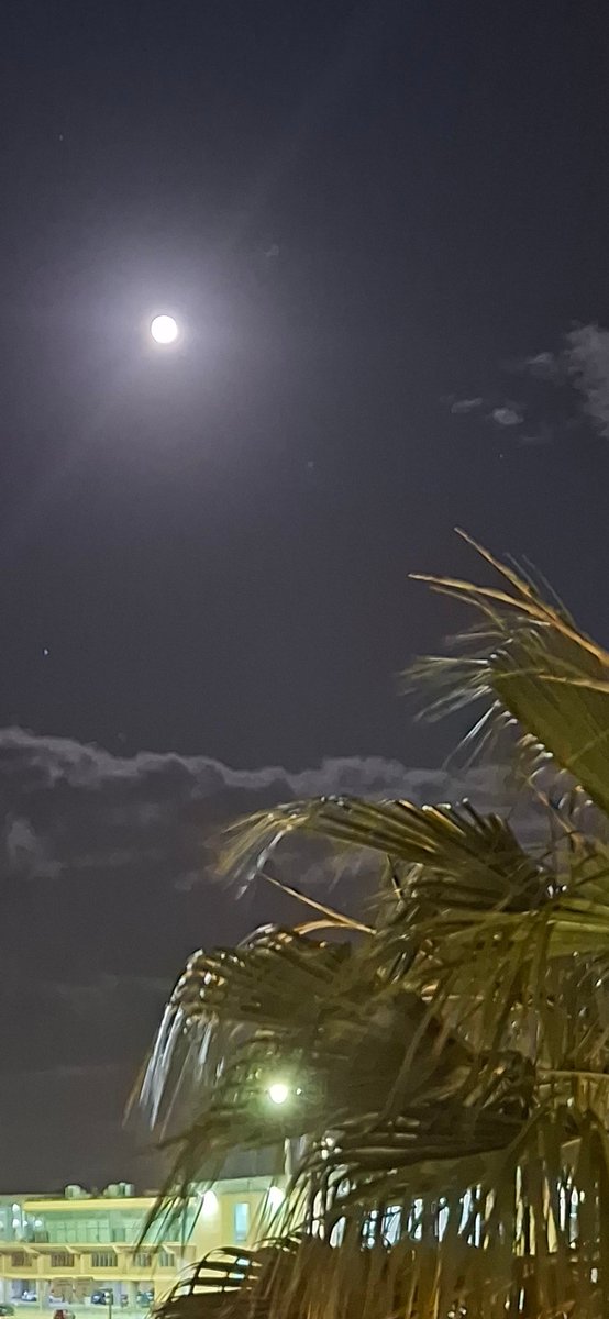 "Entre el sueño y  la vigilia a veces parpadean las ilusiones, pero también las decepciones"