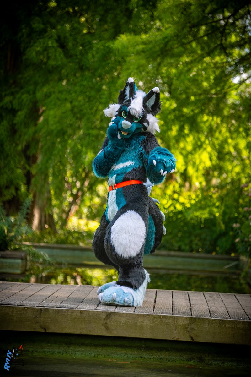 He is.. you know 🌈

📸 <a href="/RyuxWolf/">Ryuxwolf</a>