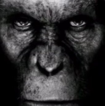 Un adulto con un menor jamás