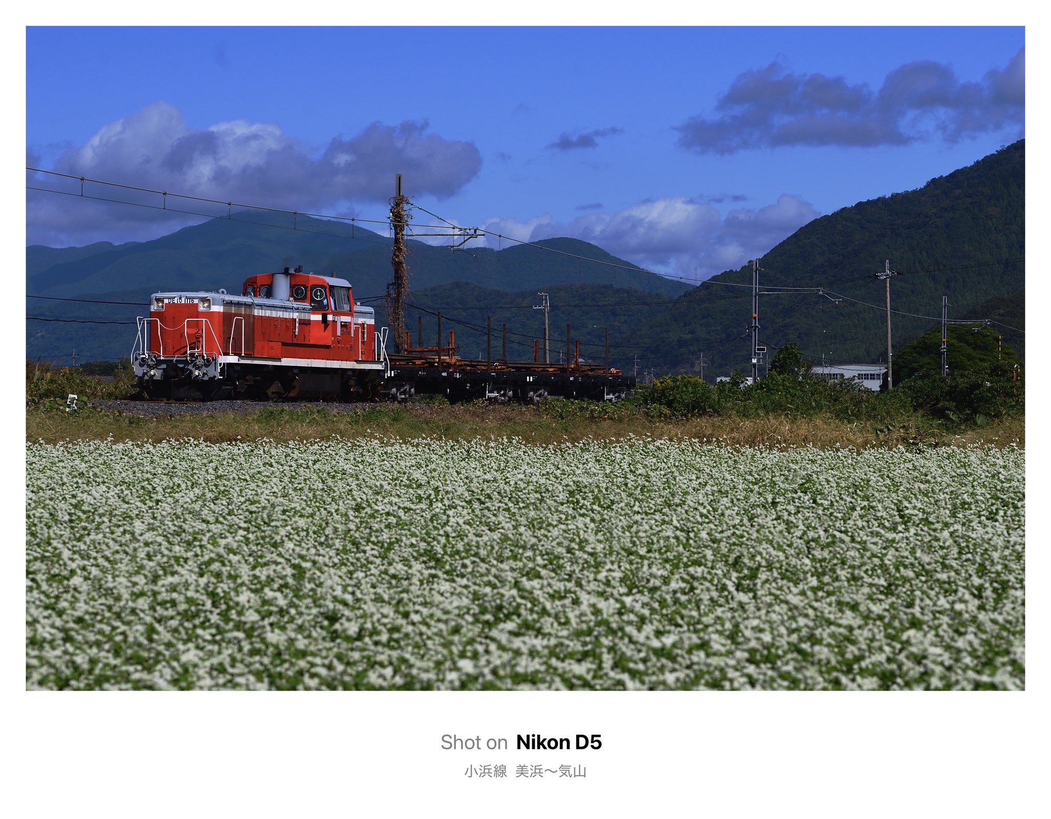 外戸本 1991年5月号 九州の総景 外戸本 1991年5月号 九州の総景