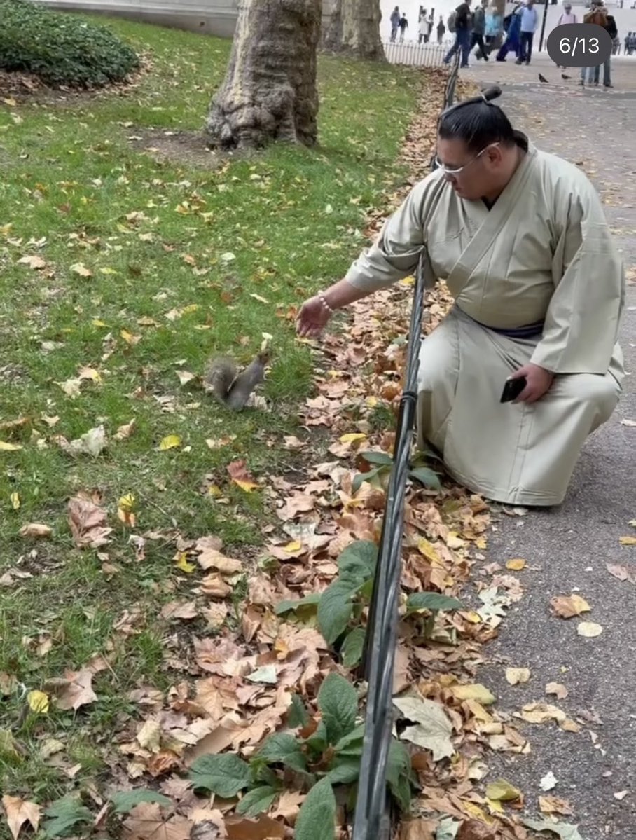 #sumo