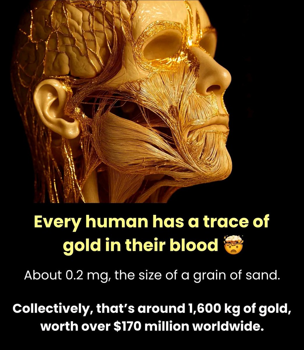 So i gotta drain it all before i can extract the gold?