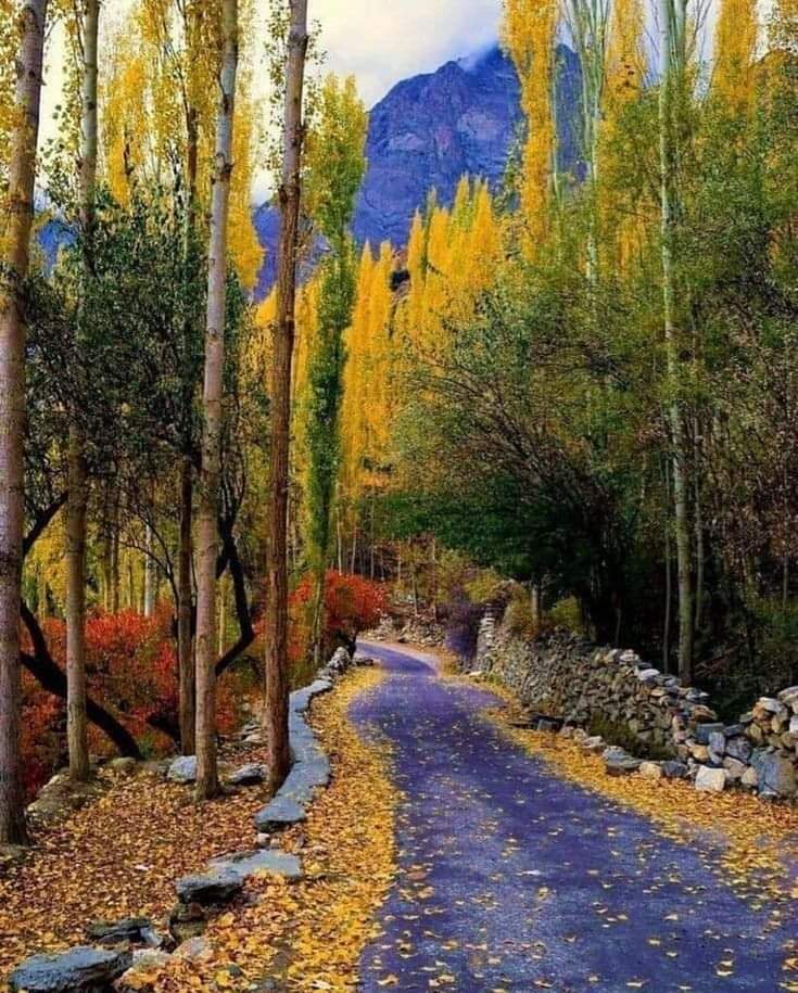 Autumn views Upper Chitral