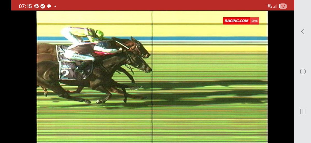 ÖDÜLLÜ SORU:
Aşağıdaki foto finiş sonucunda hangi at kazanmıştır? 
Doğru cevaplayan ilk kişi, 
Aygırlarımız

-PROKOPİ (AUSTRALIA-TONYA)
-VERNAZZA (AUTHORIZED-DENTELLE) veya
-ESPINOZA (PLEASANTLY PERFECT-CİHANNUR)

'dan istediği birinden 2026 yılı için ücretsiz aşım hakkı