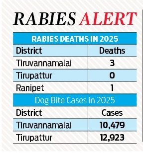 Nimisha S Pradeep (@nimishaspradeep) on Twitter photo Around 20-30% of people who are getting the first dose of anti rabies vaccine are not completing the four doses fully, said the District Health Officer in #Tiruvannamalai
10,479 people were bitten by dogs in the district in 2025. (1/5)
<a href="/xpresstn/">TNIE Tamil Nadu</a> Around 20-30% of people who are getting the first dose of anti rabies vaccine are not completing the four doses fully, said the District Health Officer in #Tiruvannamalai
10,479 people were bitten by dogs in the district in 2025. (1/5)
<a href="/xpresstn/">TNIE Tamil Nadu</a>