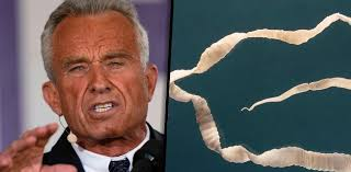 451_Grad_F's tweet photo. #RFK_Jr. Die Seuche ist nicht die Krankheit, sondern die Wissenschaftler die sie gefunden haben! Wer kann so blöde sein Krankheiten zu suchen, von denen wir noch NIE was gehört haben, doch nur unterbeschäftigte Wissenschaftler, daher müssen sie ein für allemal eliminiert werden! https://t.co/52OUjTsL4o