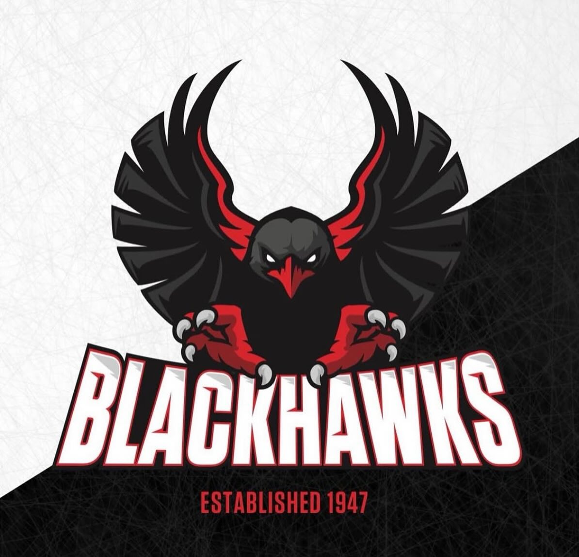 Full Spectrum is a long time sponsor of  Blackhawks Ice Hockey Club. Round 12 just wrapped up, you can see the  results by following the link below.
 
All B, C &amp; D games are streamed live and on demand at:youtube.com/@OBrienIcehouse