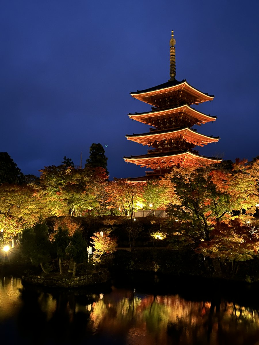 【成相寺紅葉ライトアップ】

西国巡礼第28番札所の成相寺で行われるライトアップイベント。
フルートとピアノのコラボレーション、願いを届ける護摩祈祷の炎をご堪能ください。

日時：令和7年11月15日(土)・16日(日)
時間：17:00 ～ 21:00
料金：1,000円

詳細はこちら → amanohashidate.jp/event/nariaiji…