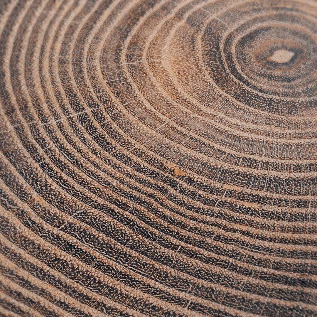 Artoholicas's tweet image. Rustic Tree Ring Canvas Print Wooden Texture Wall Art Large Log Cross-Section Canvas Ar...
artoholica.com/en-gb/products…
#RusticArt #TreeRingPrint #WallDecor #HomeDecor #CanvasArt #WoodTexture #NatureInspired #InteriorDesign #ArtLovers #RusticHome