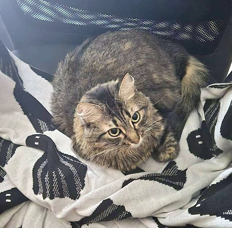 👻 Audrey Martin 📚🏳️‍🌈 tweet media