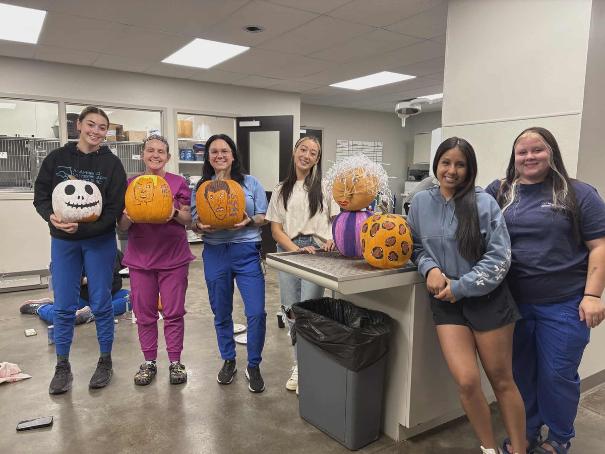 VetMayfield's tweet image. @VetMayfield kicked off #VetTechWeek2025 with pumpkin carving. Fun times were had by all! &amp;lt;3