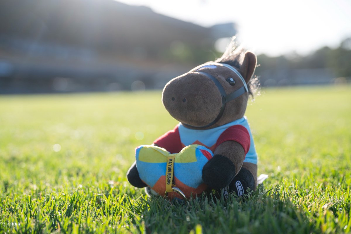 KA YING RISING カーインライジングクッション Ka Ying Rising merchandise!? Gift at Races has everything you need
