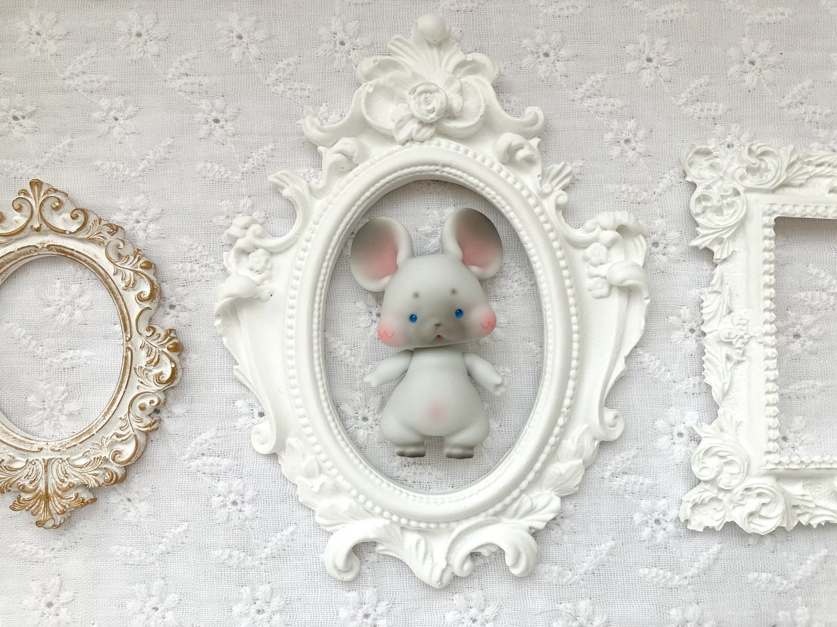 アイドール名古屋でDoriちゃんをお迎えしました！
小さくて可愛い🧀

 #kumukuku  #アイドール名古屋