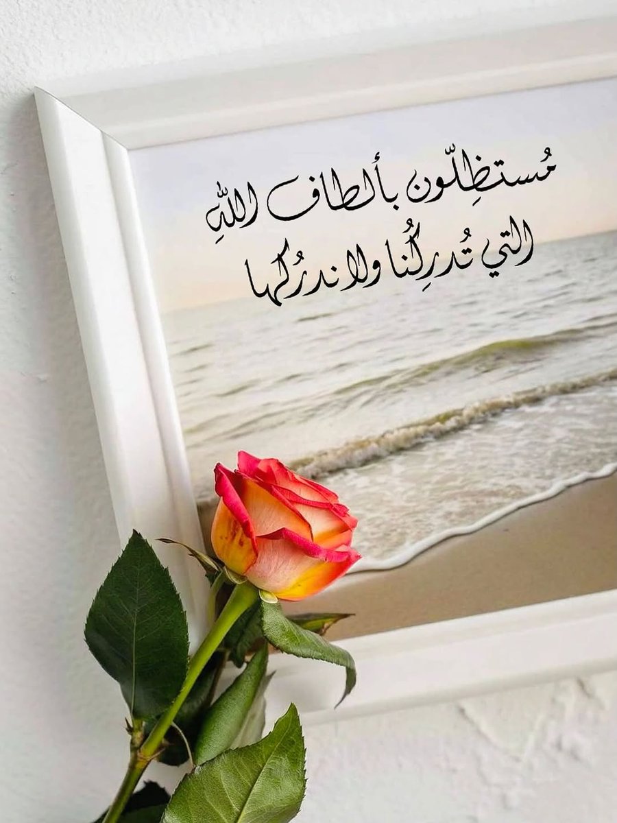 #صباحيات 👋🏻🌺🍃