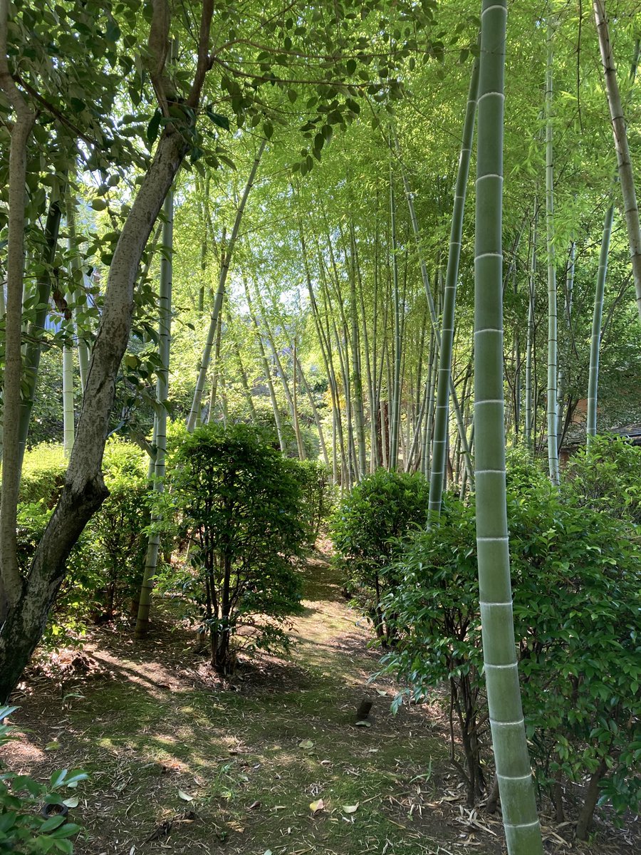 cosmixwahunokai's tweet image. 【和風の会 愛宕】
会場　　愛宕公園 受付：集会所
開催日　12月28(日)   9:45-16:30
事前申込制
cos-mix.jimdofree.com
＃コスミ