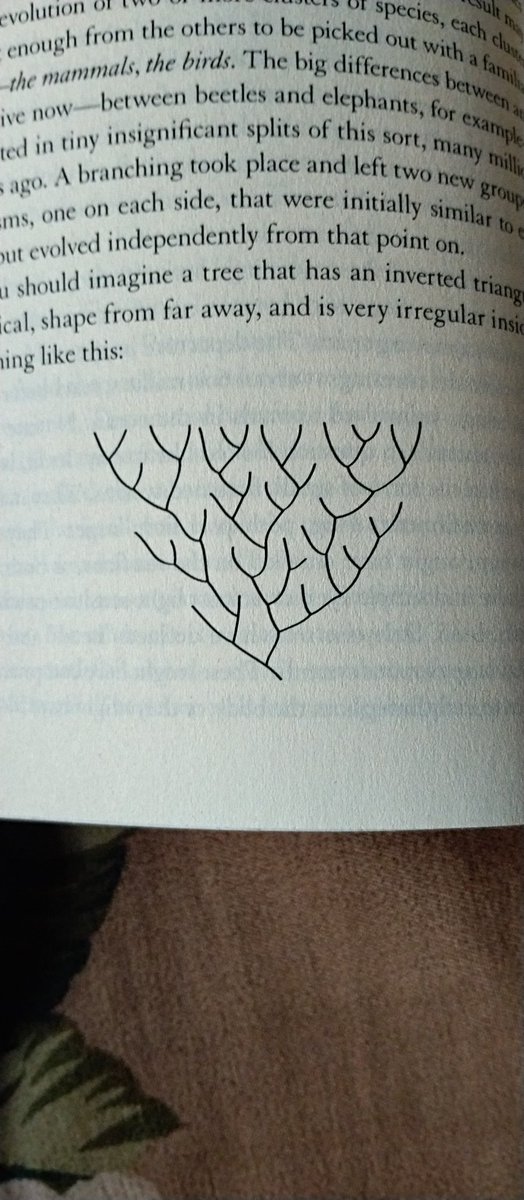 Every mammel present on this earth has the same origin.