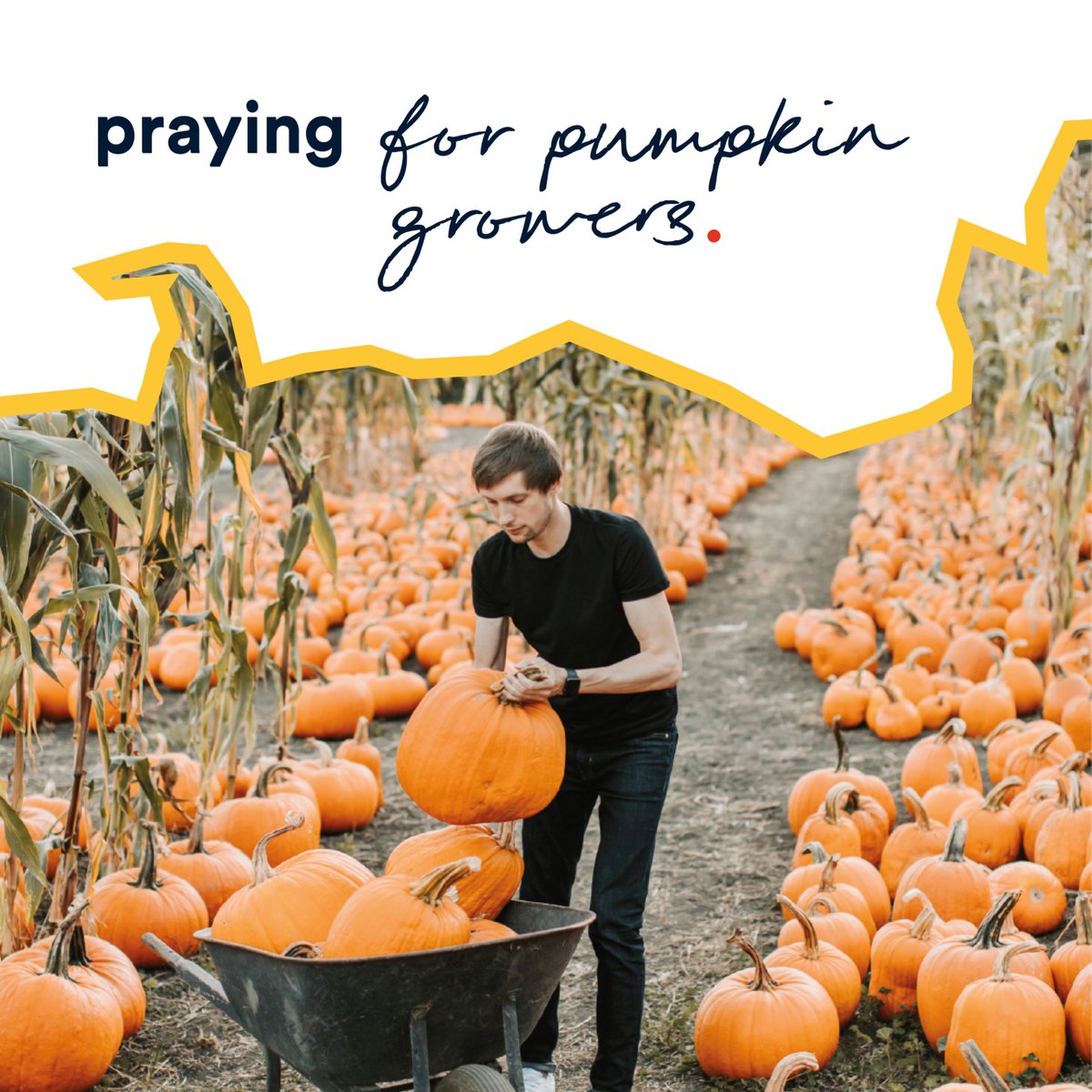 Lord, thank you for pumpkin growers. As they pick, life, and pack pumpkins, protect them from the elements and keep them safe when using equipment. And, when the work feels monotonous, remind them of the joy they're bringing to people's plates at this time of year. Amen.