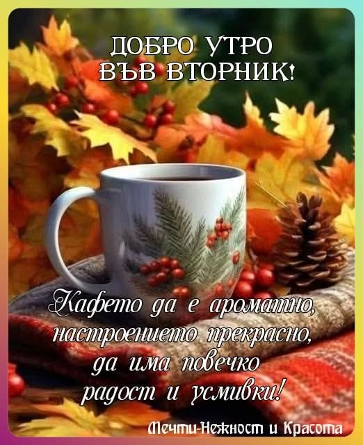 Günaydın ☕️🌸☕️Dobro utro 
Mutlu gunler arkadaslar