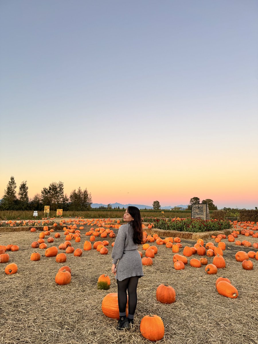 _almondmlk's tweet photo. I love autumn colours 🧡💛🩶 https://t.co/DYYp2mYmYK