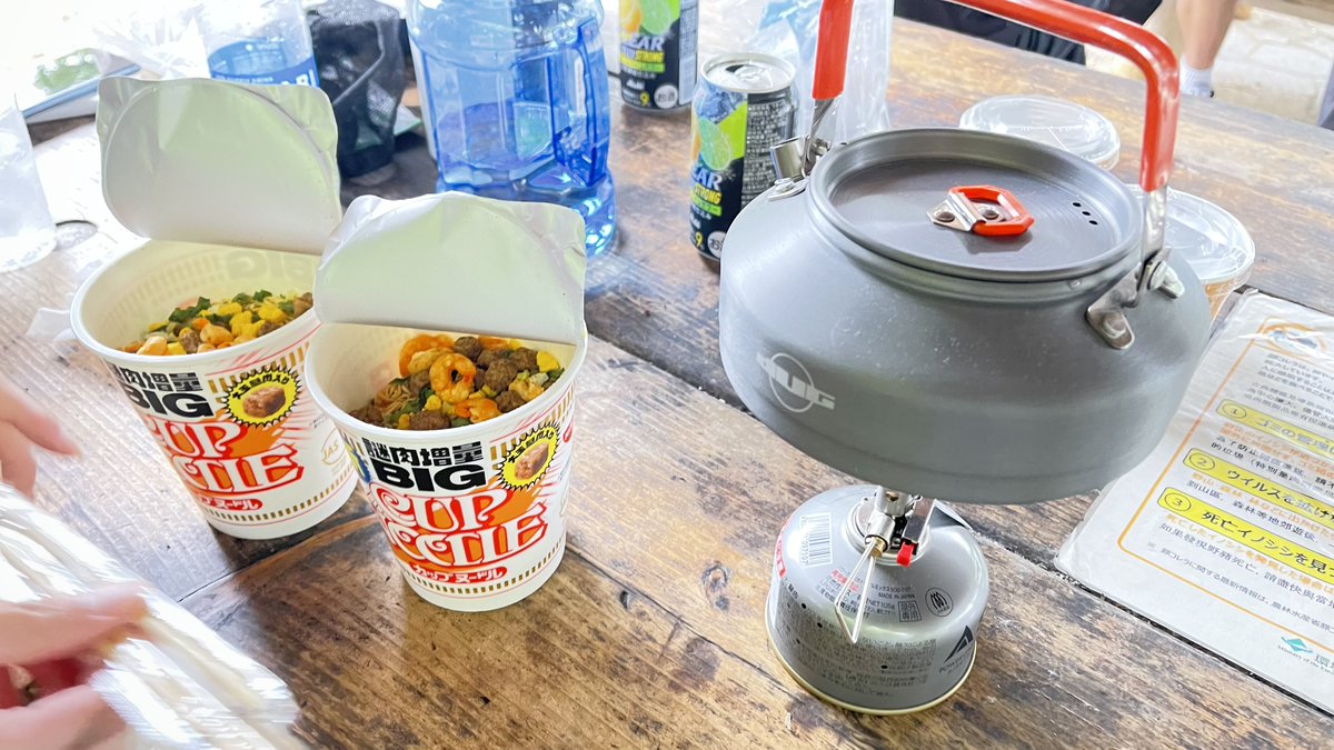 かってぃ˚✧₊⁎　直接受け渡し しいのすけ／次は12月 on X