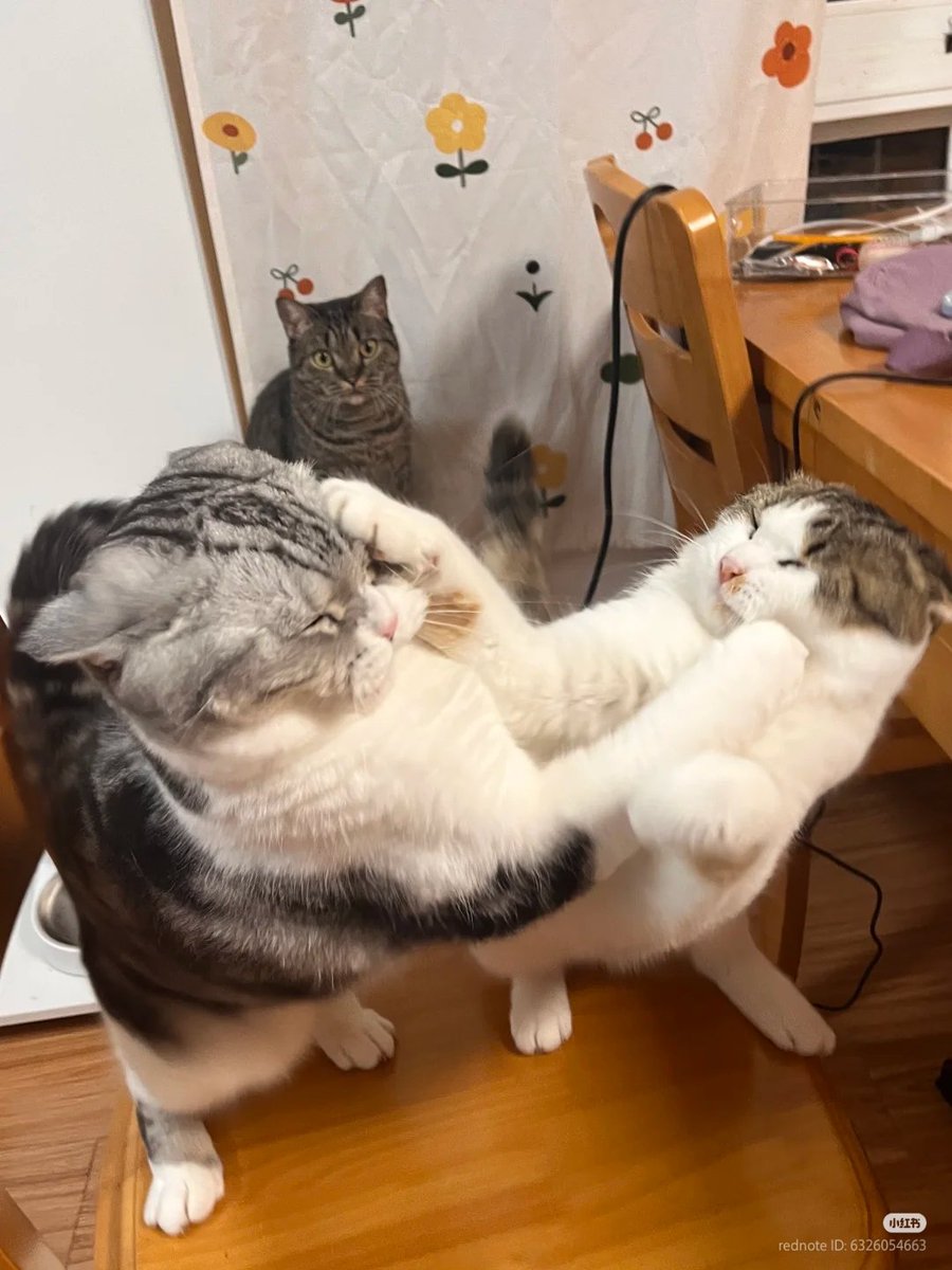 👊🏻
😮