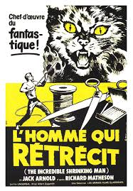 merlinpapin3's tweet photo. .@FredOL69007 Aujourd'hui le réalisateur #JackArnold aurait eu 109 ans (décédé en 1992) on lui doit
L'Homme qui Rétrécit
L'Etrange Créature du Lac
Tarantula !
La Revanche de la Créature
Le Météore de la Nuit
La Souris qui Rugissait https://t.co/UpG1WTlcyz