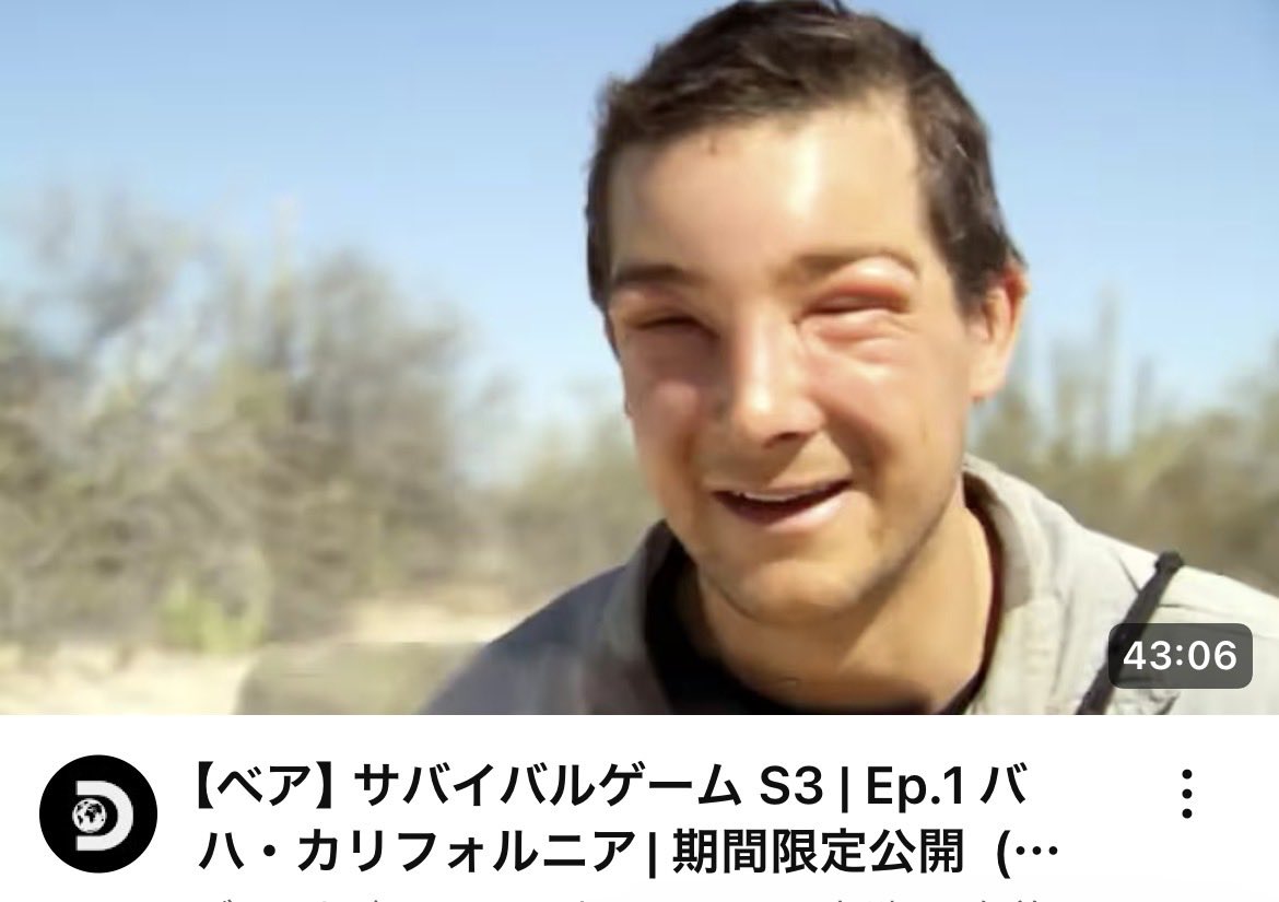 サバイバル検討へ